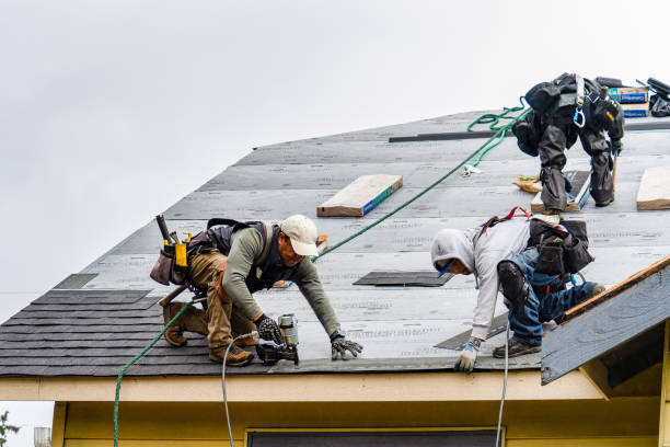 Professional Gutter Installation technician working in Max, ND